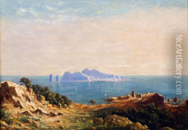 Veduta Di Capri Da Punta Campanella Oil Painting - Johanne Krebs