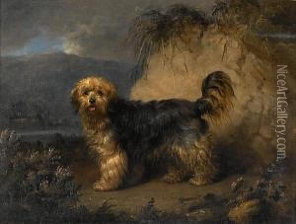 A Bearded Collie In A Landscape Oil Painting - Edmund Bristow