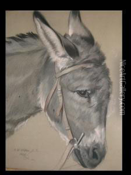 Head Of A Donkey Oil Painting - Francis William Wilkin