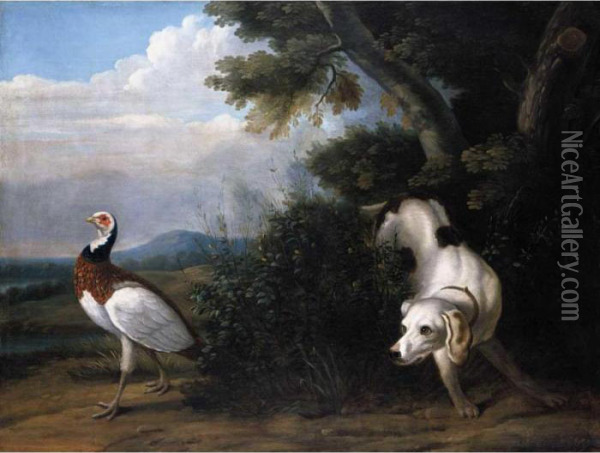 A Setter Putting Up A Pheasant Oil Painting - Jean-Baptiste Oudry