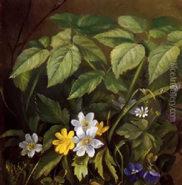 Skovbund Med Forarsblomster Oil Painting - Anthonie Eleonore (Anthonore) Christensen