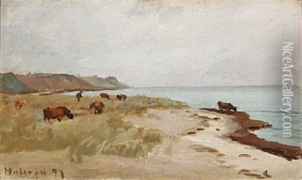 Beach Scene With Cows, Hulerod In Denmark Oil Painting - Carl Ludvig Thilson Locher