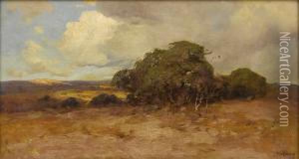 Untitled Texas Dry Country Oil Painting - Julian Onderdonk