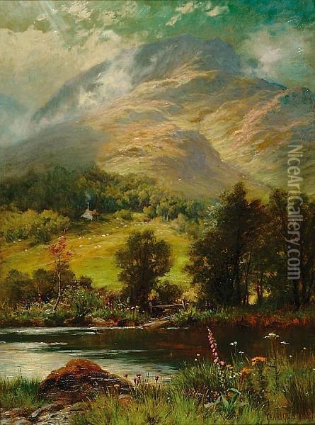 A Scottish Mountain Viewed From Across A River Oil Painting - Charles Stuart