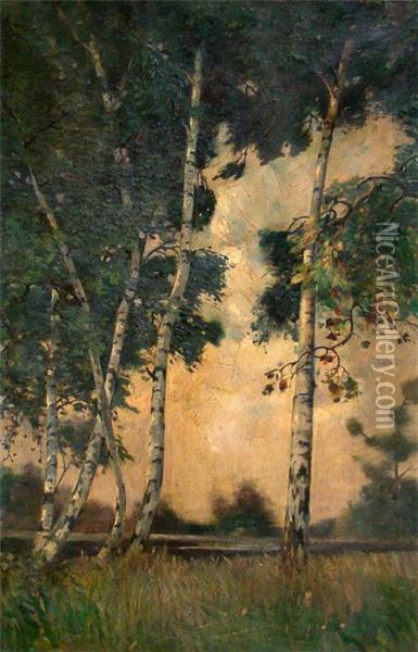 Birken Am Seeufer Oil Painting - Rudolf Possin