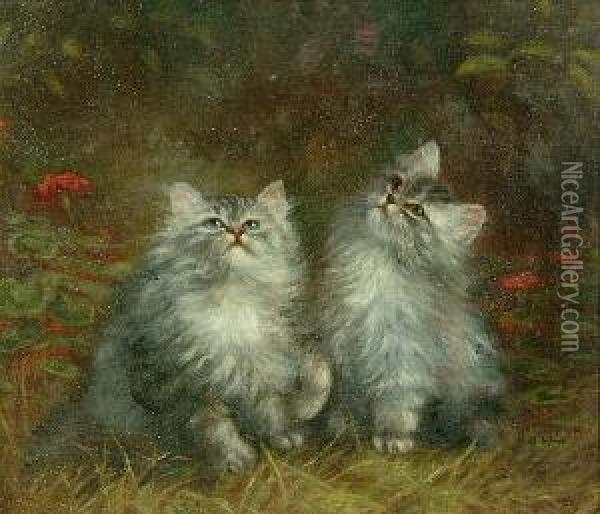 A Study Of Two Kittens Oil Painting - Agnes Augusta Talboys