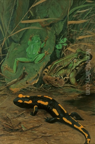 Laubfrosch, Wasserfrosch, Salamander Oil Painting - Wilhelm Friedrich Kuhnert