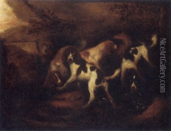 Hunting Dogs In A Forest Oil Painting - Adriaen Cornelisz Beeldemaker