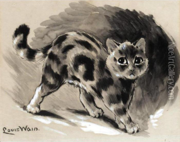 Study Of A Kitten Oil Painting - Louis William Wain
