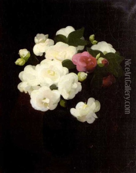 Still Life With White And Red Roses Oil Painting - Stuart James Park