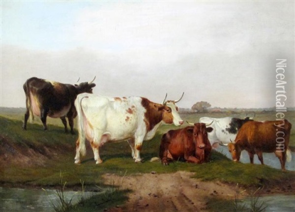 Cattle Watering Oil Painting - James Clark