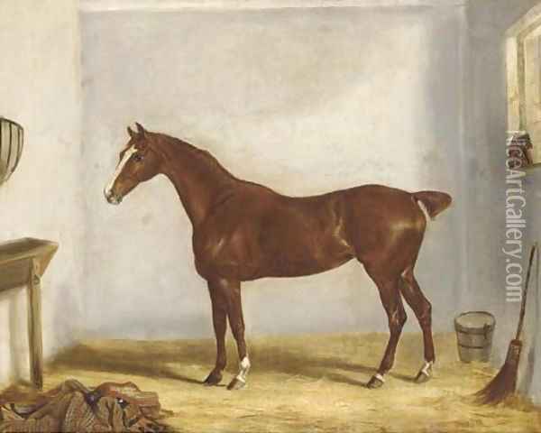 A chestnut hunter in a stable Oil Painting - William Webb