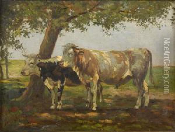 Jungbullen. Oil Painting - Johann Daniel Holz