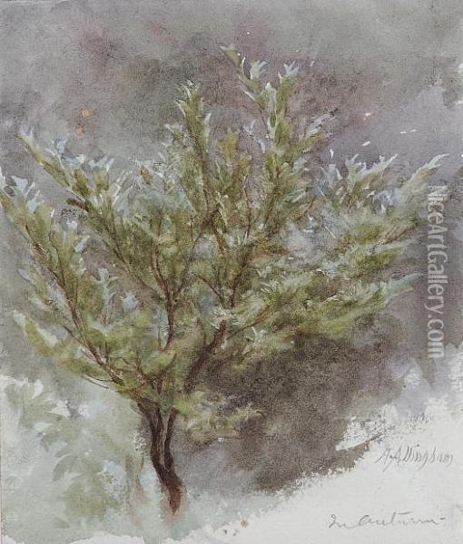A Sapling In An Autumn Wind Oil Painting - Helen Mary Elizabeth Allingham