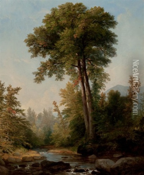 A Natural Monarch Oil Painting - Asher Brown Durand