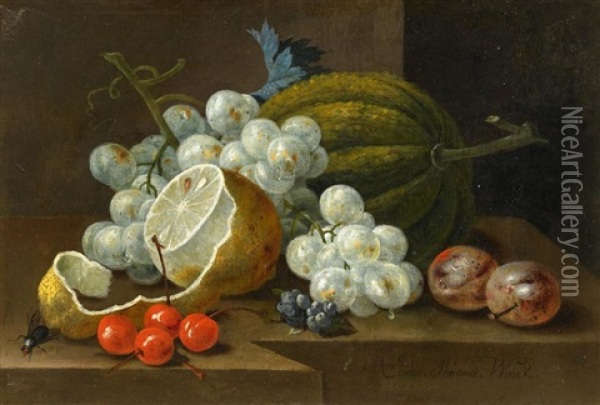 Stillleben Mit Trauben Und Zitrone Oil Painting - Johann Amandus Winck