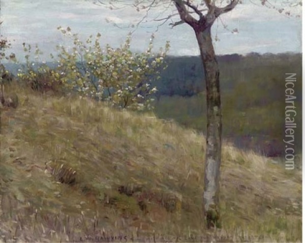 Trees In Blossom On A Hillside Oil Painting - Louis Welden Hawkins