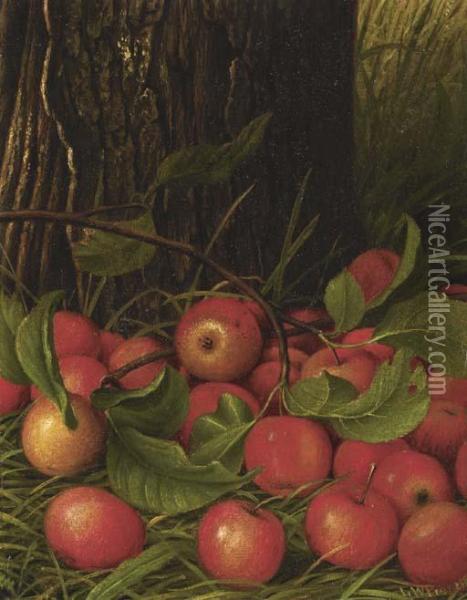 Apples Under A Tree Oil Painting - Levi Wells Prentice
