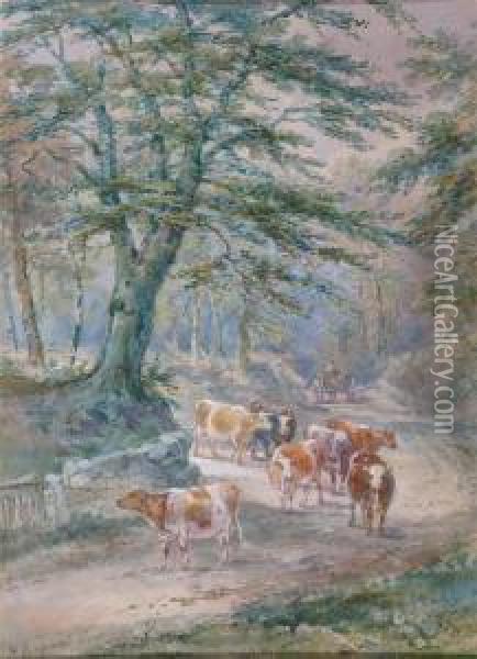 Cattle In A Lane At Uckfield Oil Painting - Henry Earp