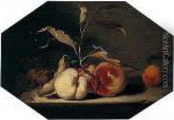 A Still Life Of Peaches, Plums And One Apricot Arranged Upon A Stone Ledge Oil Painting - Jacob Fransz. Van Der Merck