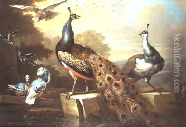 Peacock and Pea Hen in a Landscape Oil Painting - Tobias Stranover