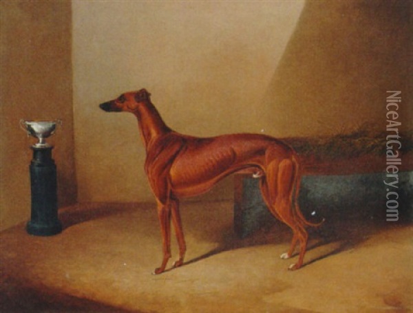 A Champion Greyhound Standing Before His Trophy Oil Painting - Colin Graeme