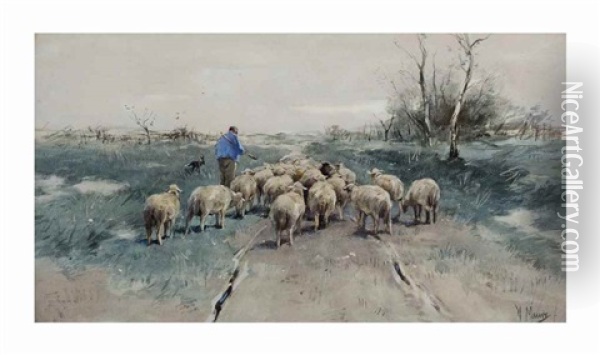 A Shepherd With His Flock On The Heath Oil Painting - Anton Mauve