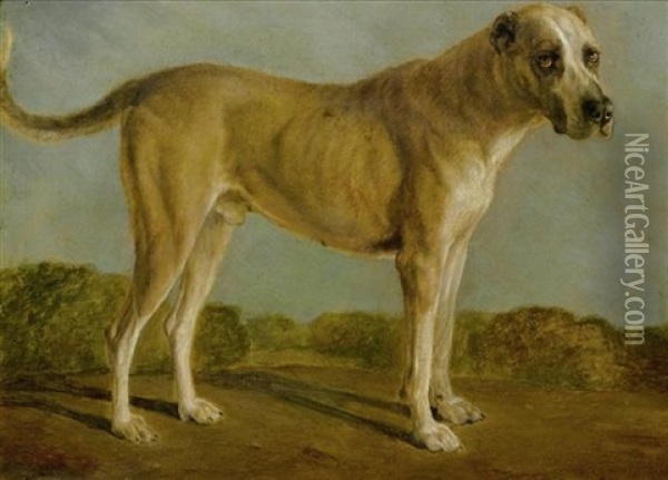 Jagdhund Oil Painting - Jacques-Laurent Agasse