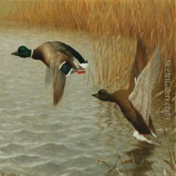 Flying Ducks Oil Painting - Poul Steffensen