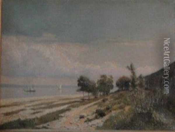 Le Lac De Geneve Oil Painting - Nathanael Lemaitre