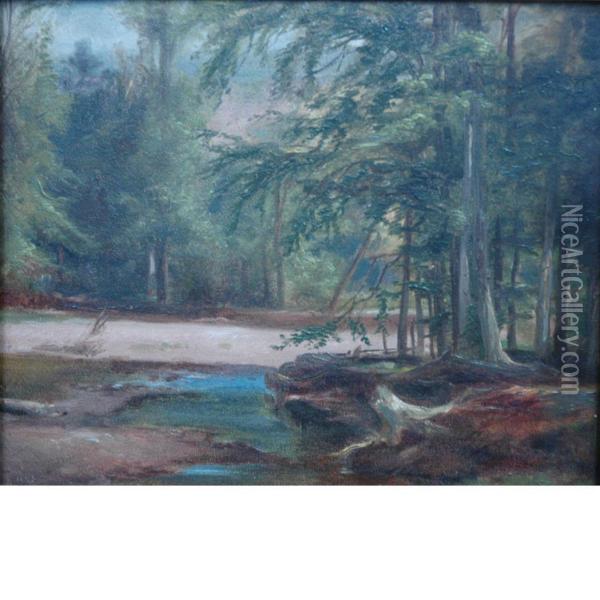 Wooded Landscape Oil Painting - Homer Dodge Martin
