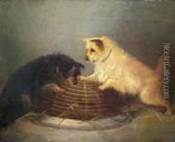 Two Terriers Ratting In A Barn Oil Painting - George Armfield