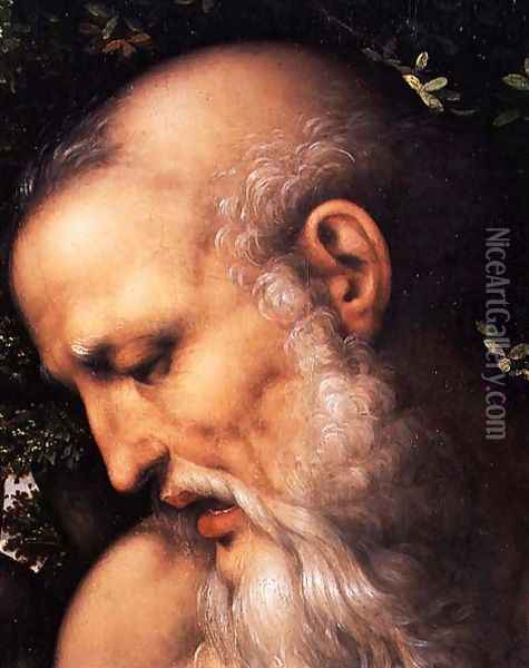 St. Jerome (detail of the saint's head) Oil Painting - Cesare da Sesto