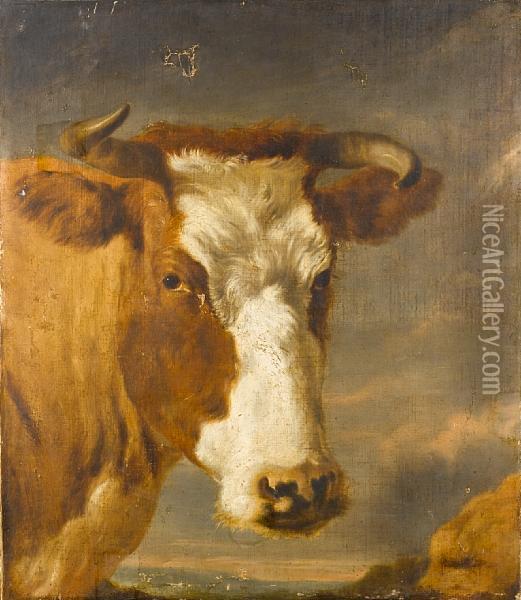 The Head Of A Bull 
Bears Signature 'berchem' Oil Painting - Nicolaes Berchem