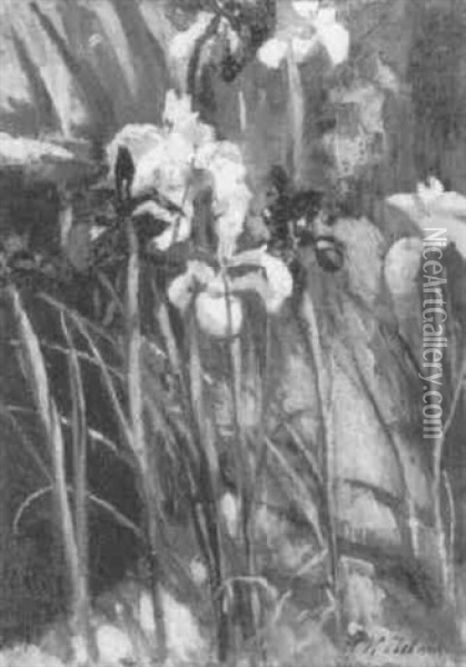 Irises Round Pool Oil Painting - Patrick William Adam