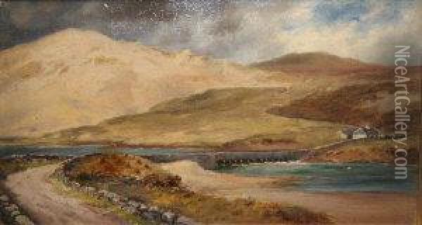 The Road To Horn Head Oil Painting - Alexander Williams