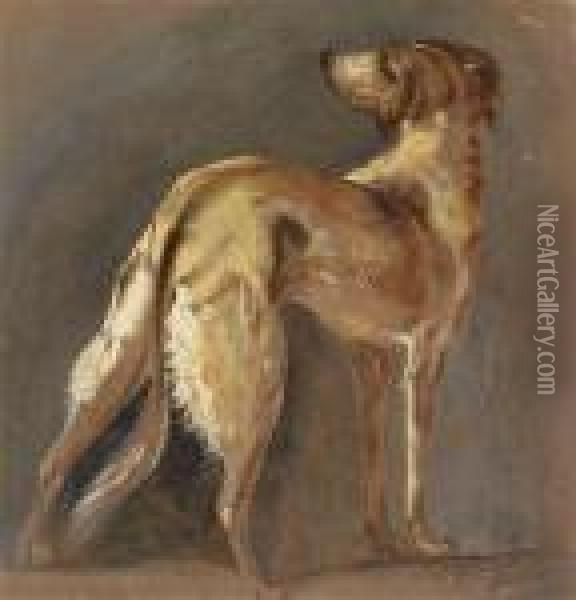 Hundeportrat Oil Painting - Johann Matthias Ranftl