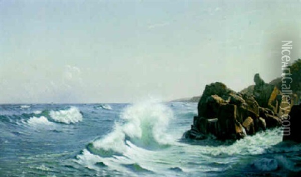 Waves Breaking On A Rocky Coast Oil Painting - Johannes Herman Brandt