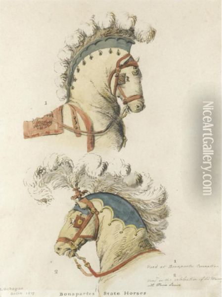 Study Of Napoleon Bonaparte's State Horses Oil Painting - Lawrence Gahagan