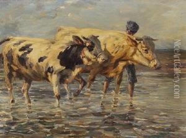 Ein Bauer Durchquert Mit Zwei
 Kuhen Eine Furt. Oil Painting - Heinrich Johann Von Zugel