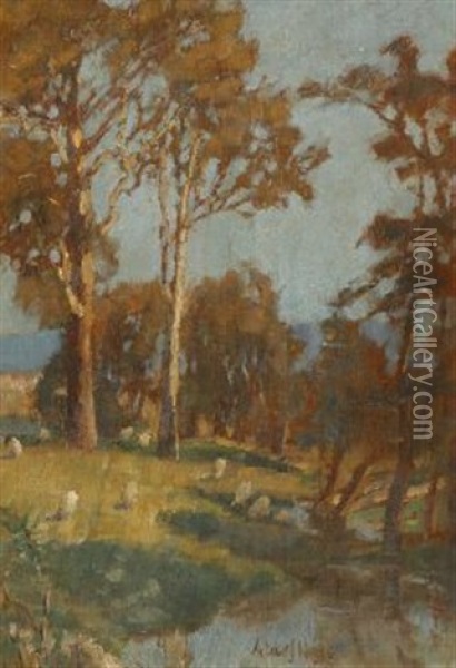 Bluegums With View Of A Pool Oil Painting - Albert J. Hanson