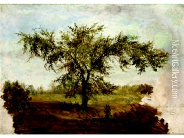 Tree, October 8th (study) Oil Painting - Joseph Rusling Meeker