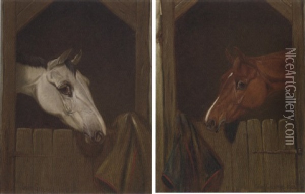 A Grey At A Stable Door Oil Painting - Colin Graeme