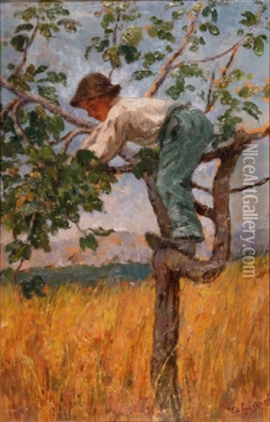 Fanciullo Sul'albero Di Fichi Oil Painting - Garibaldi Gariani