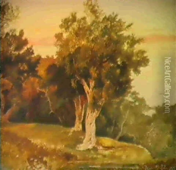 Olive Trees, Corfu Oil Painting - Edward Lear