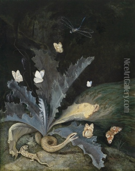 Ein Rasenstuck, Unter Einer Distel Eine Schlange, Eine Eidechse Und Eine Schnecke Oil Painting - Otto Marseus van Schrieck