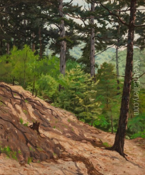 Hillside Pines Oil Painting - Benoni Irwin