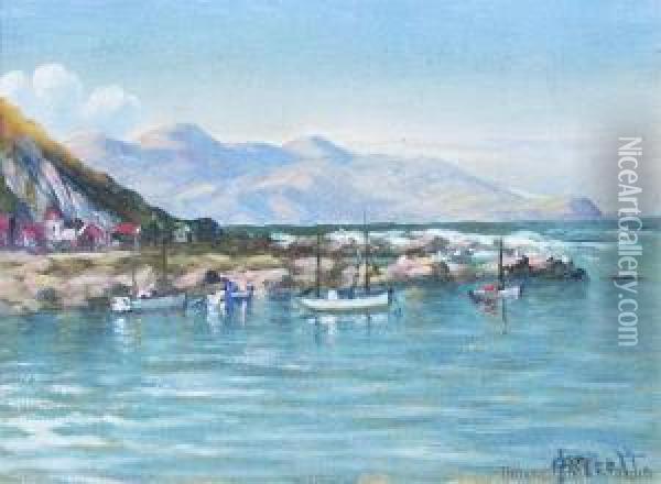 Island Bay, Wellington Oil Painting - John Douglas Perrett