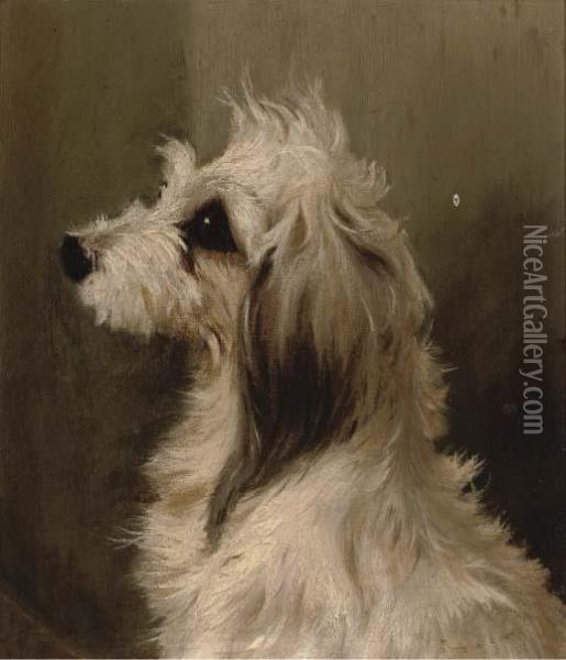 A Long-haired White Terrier Oil Painting - Edwin Loder