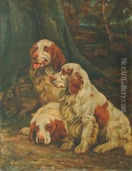 Three Clumber Spaniels Resting In A Woodland Landscape Oil Painting - Wright Barker